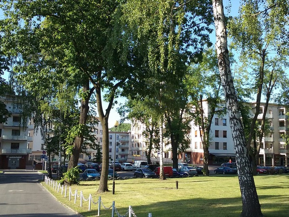 Stanovanjski blok med drevesi